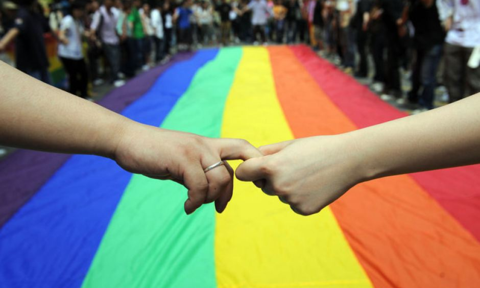 Punjab & Haryana High Court Justice Sparks Controversy in Same-Sex Habeas Corpus Case